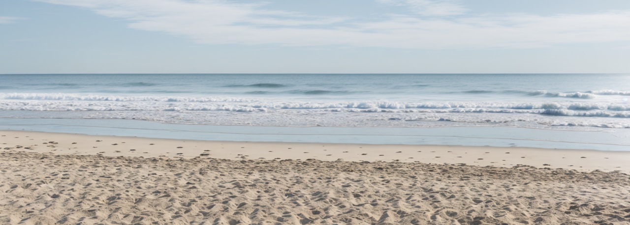 location saisonniere la rochelle